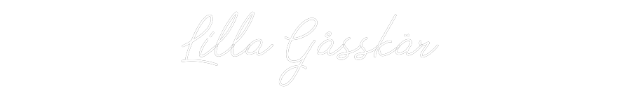 Anpassad neon: Lilla Gåsskär