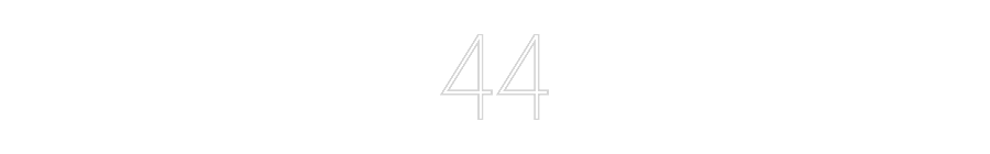 Anpassad neon: 44