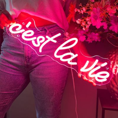 Neonskylt cestlavie