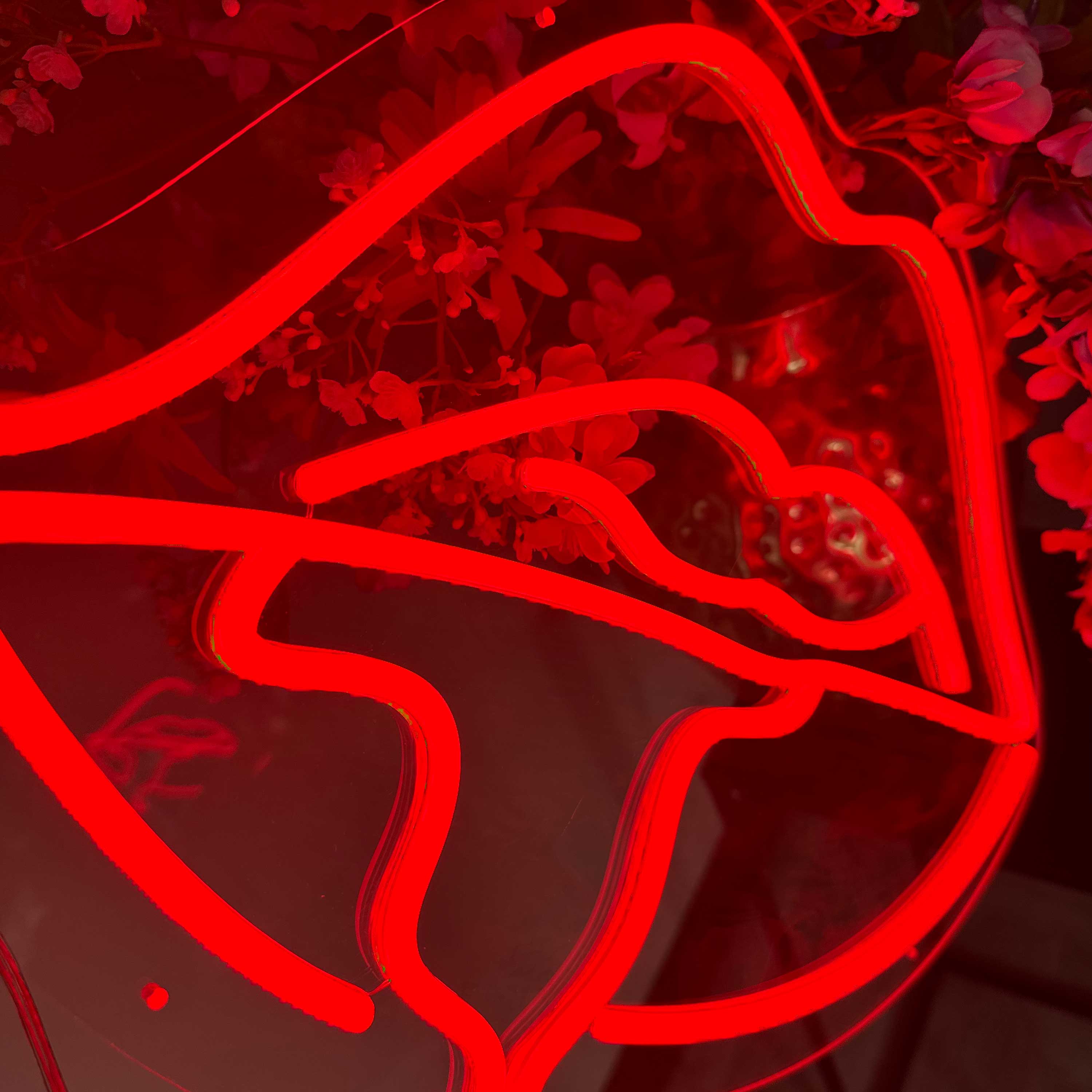 Neonskylt Kaustisk läpp