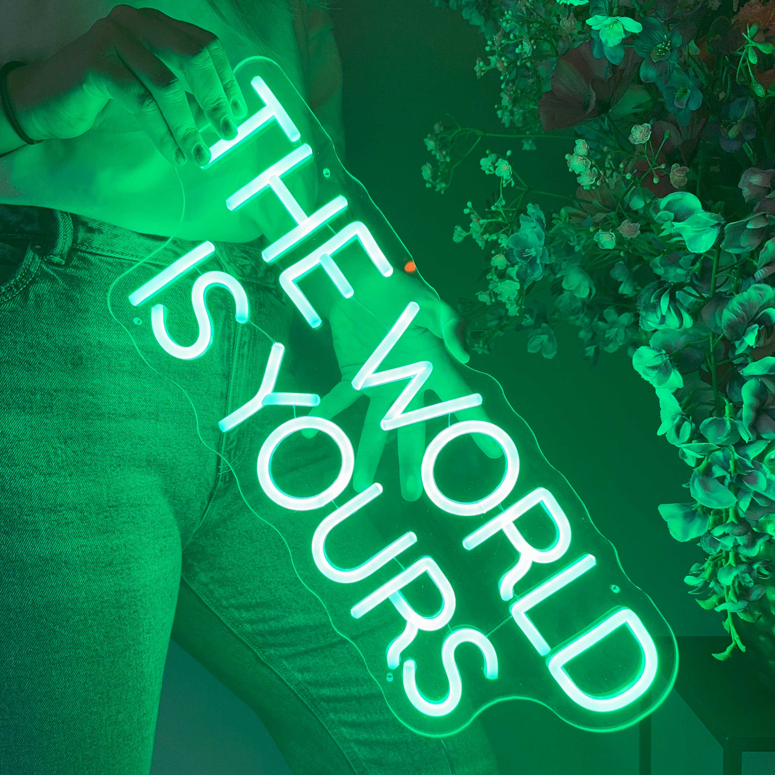 Neonskylt The World Is Yours