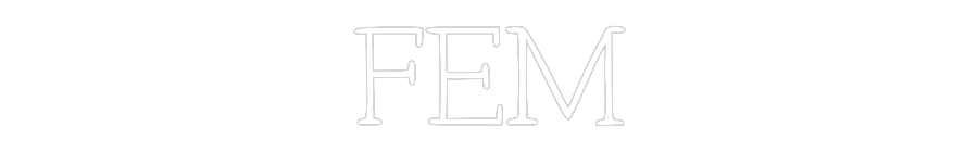 Anpassad neon: FEM