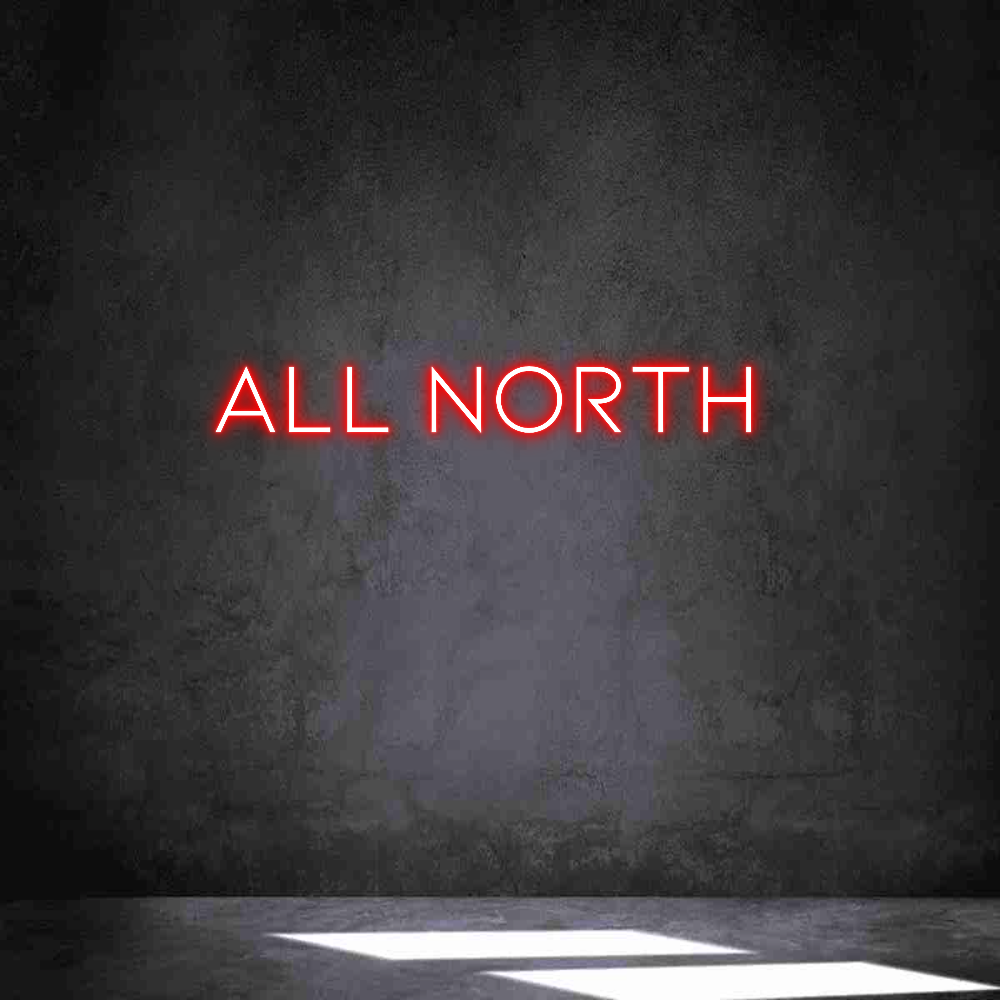 Anpassad neon: ALL NORTH