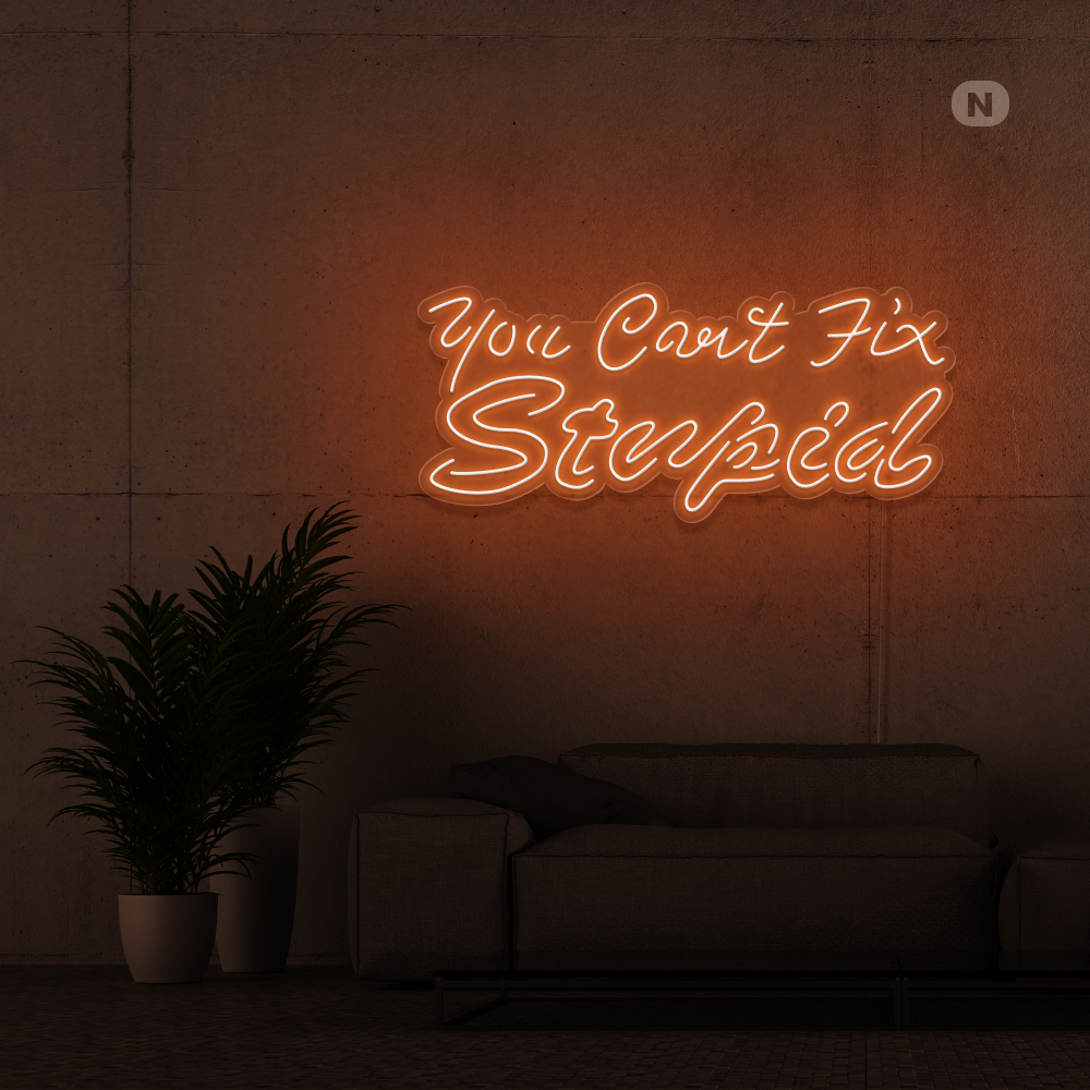Neonskylt you can't fix stupid