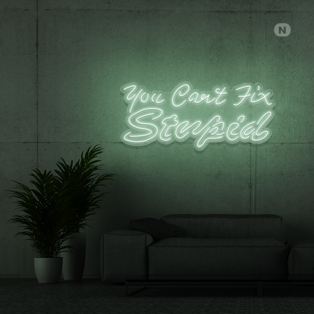 Neonskylt you can't fix stupid