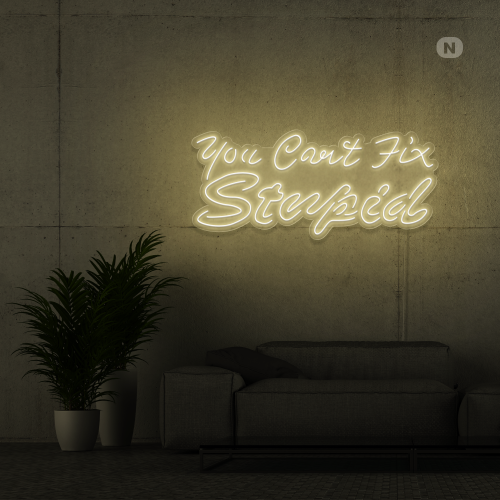 Neonskylt you can't fix stupid