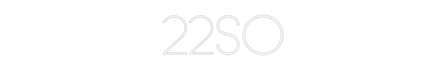 Anpassad neon: 22SO