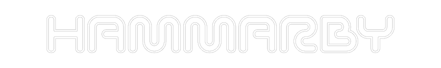 Anpassad neon: HAMMARBY
