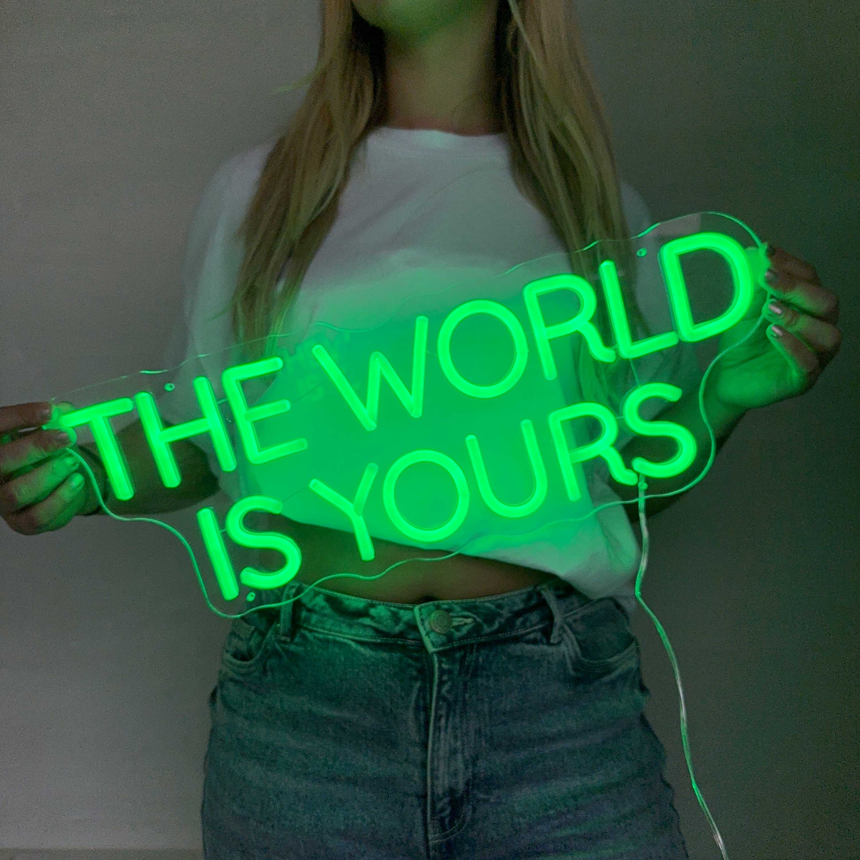 Neonskylt The World Is Yours