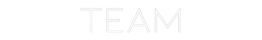 Anpassad neon: TEAM