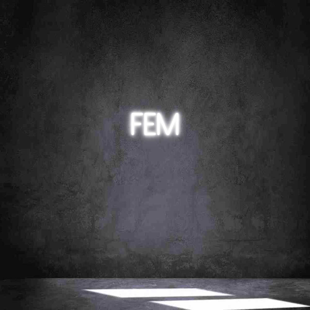 Anpassad neon: FEM