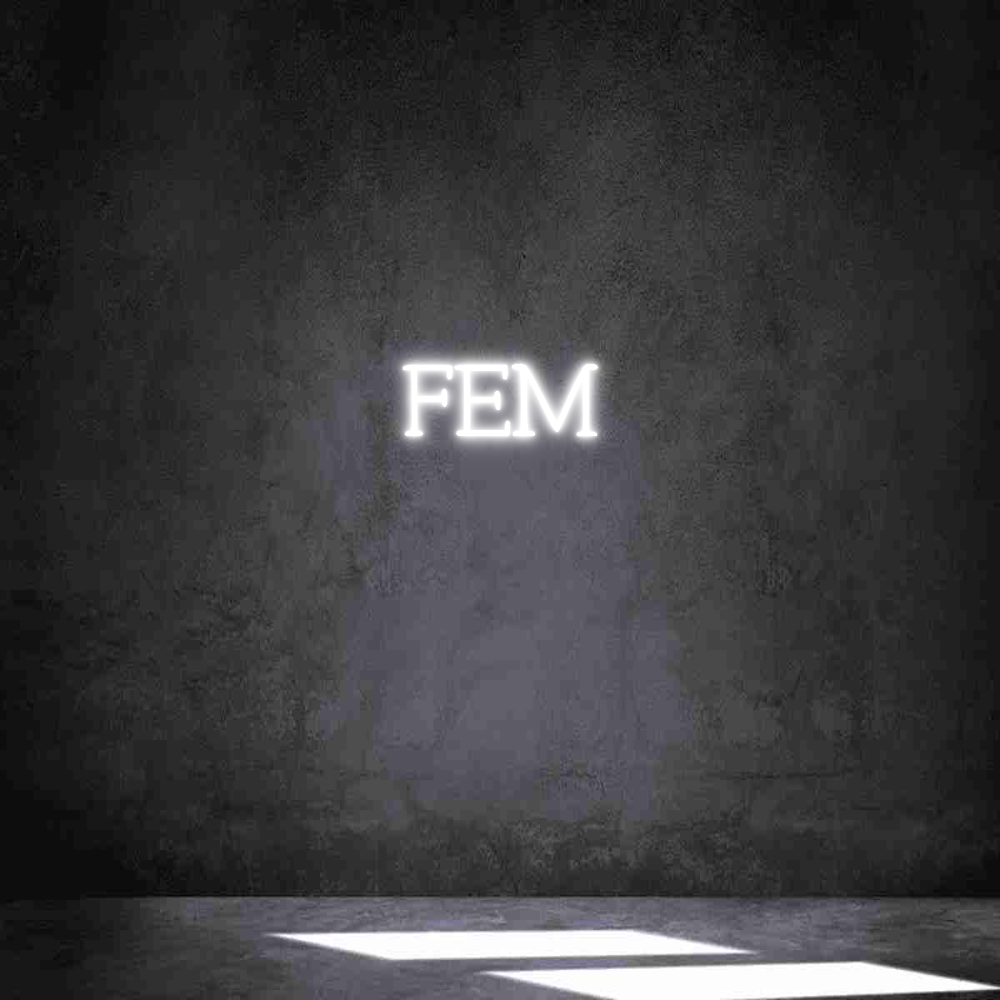 Anpassad neon: FEM